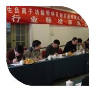 2006年3月10日，“产生负离子功能粉体及相关建材制品测试方法”行业标准审查会在北京召开。